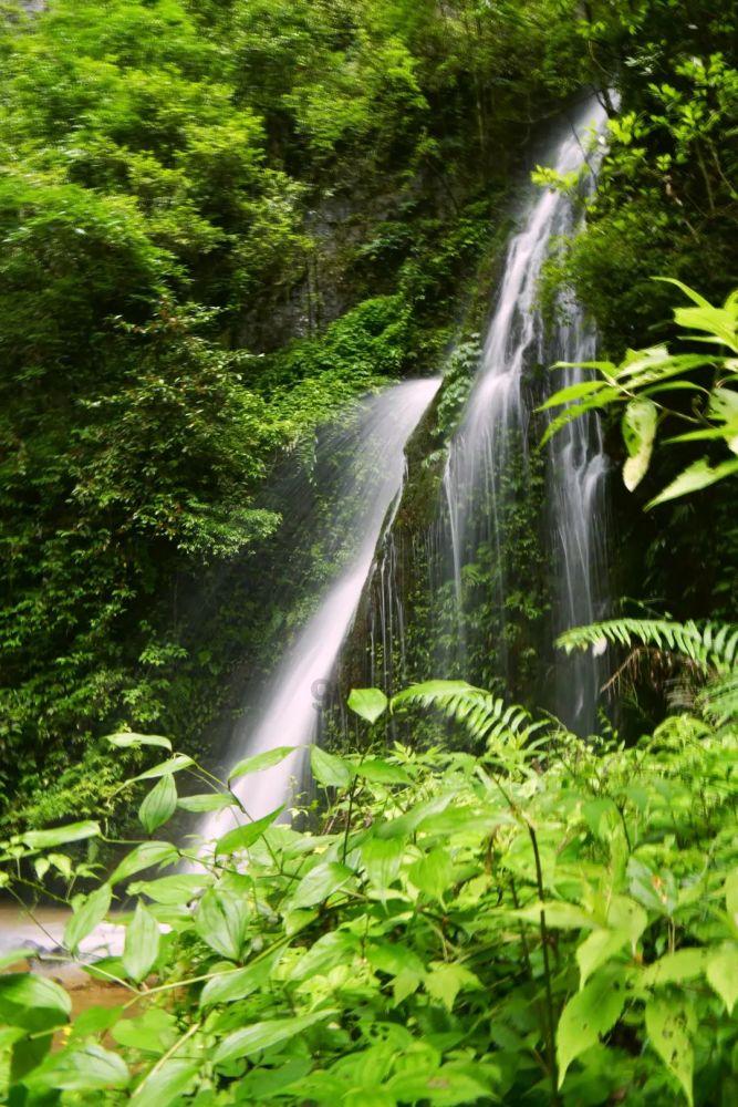 点旺新春“烟火气”